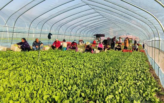 f6c330e6e92b1eab4764f9a9cda1767