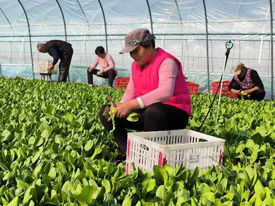 7412ade1eaa62681fdc41320196027a