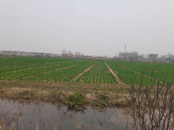 51213224fefa2e610102341d0157031