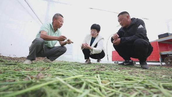 微信图片_202304131532132