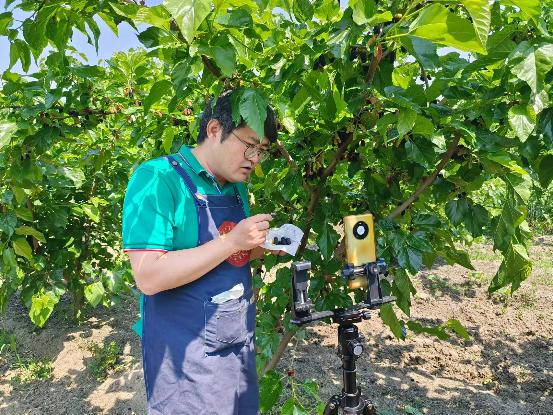 af17f00dffb6894ce30b9b995ee0545