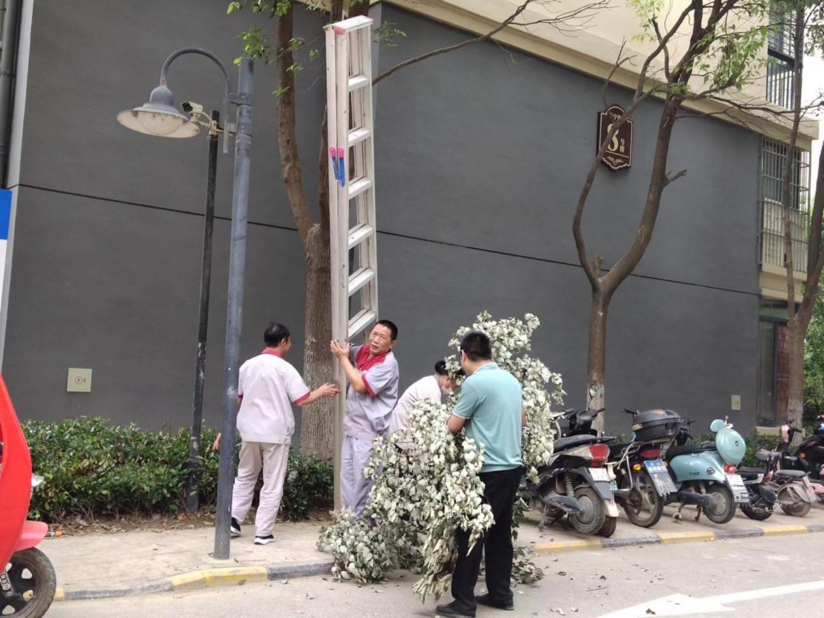 微信图片_20230613160310