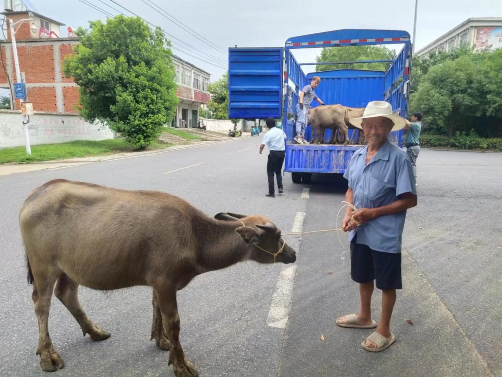 C:\Users\ADMINI~1\AppData\Local\Temp\WeChat Files\d7d597f683837f1233eba3c5a1d3a3a.jpg