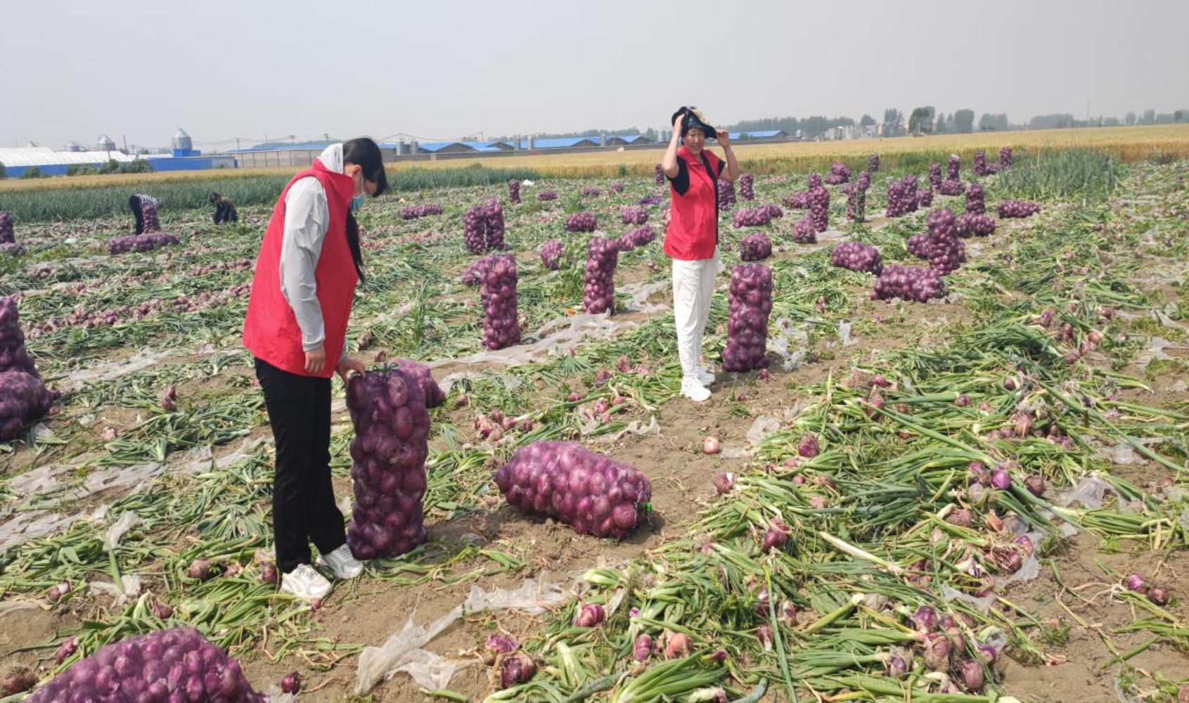 0d0de20edcebd5c30d744213ee6384e