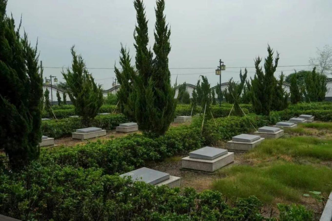 05f49190590ec816c157379a4ee481b