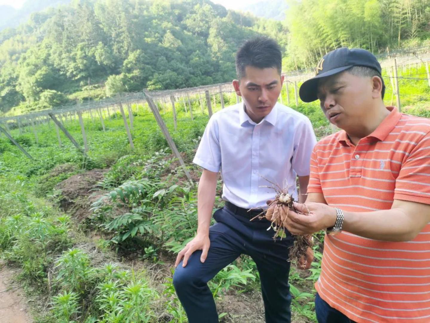 休宁农商银行“劝耕贷”：赋能蔬菜产业，助力乡村振兴2