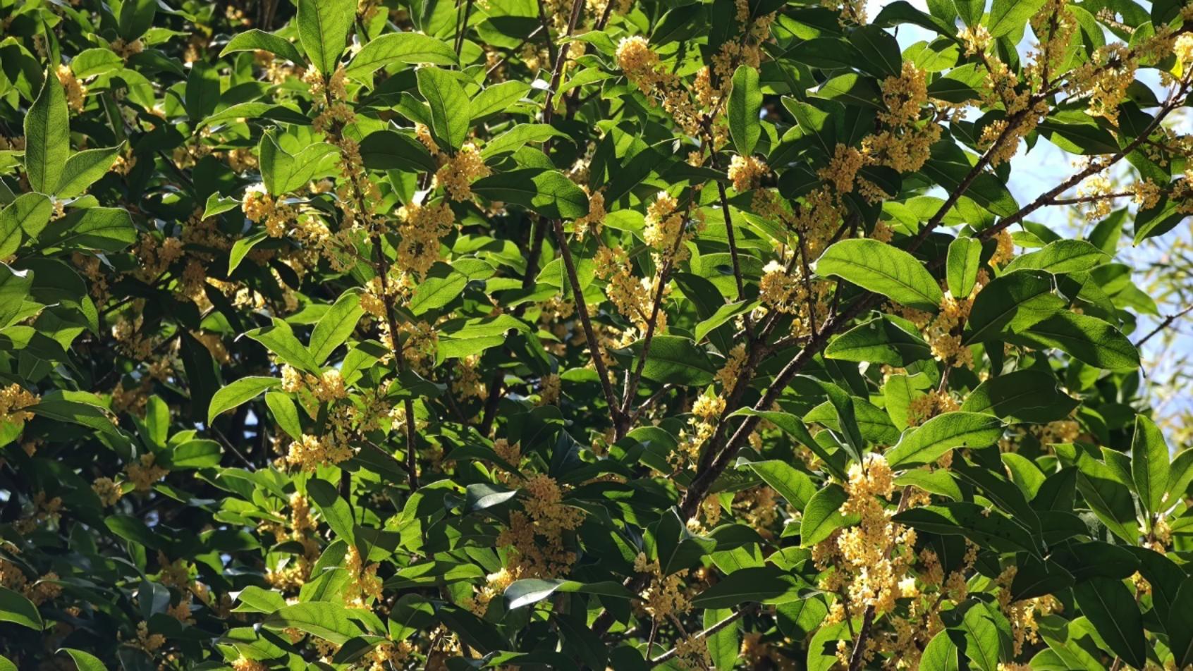 IMG_20230907_102938.jpg