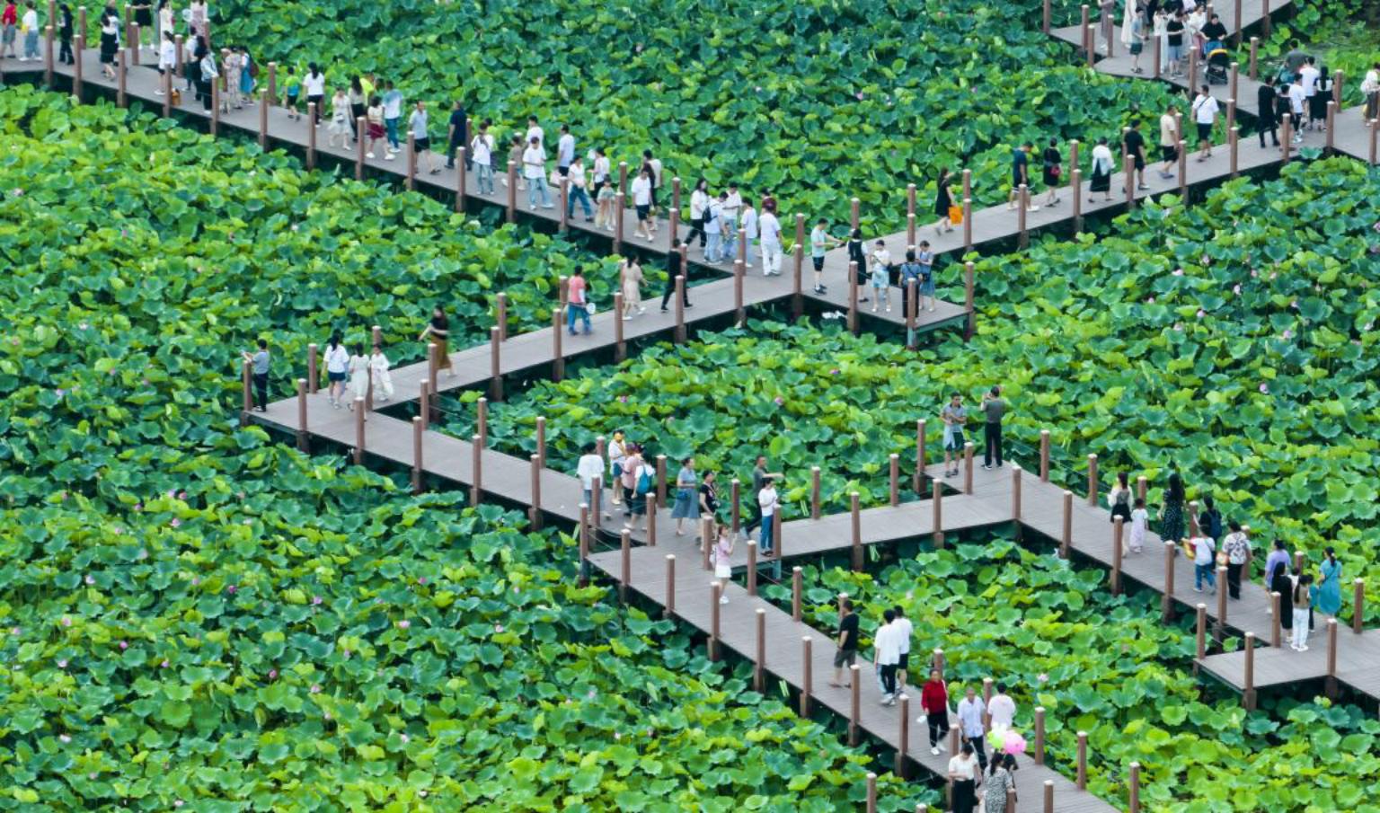 11高品质文旅活动促推经济高质量发展