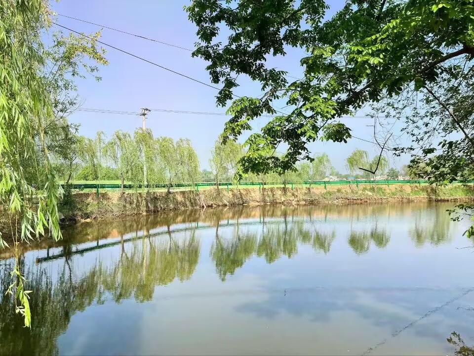 885D0CDBB5C2083A728497174A09BF26