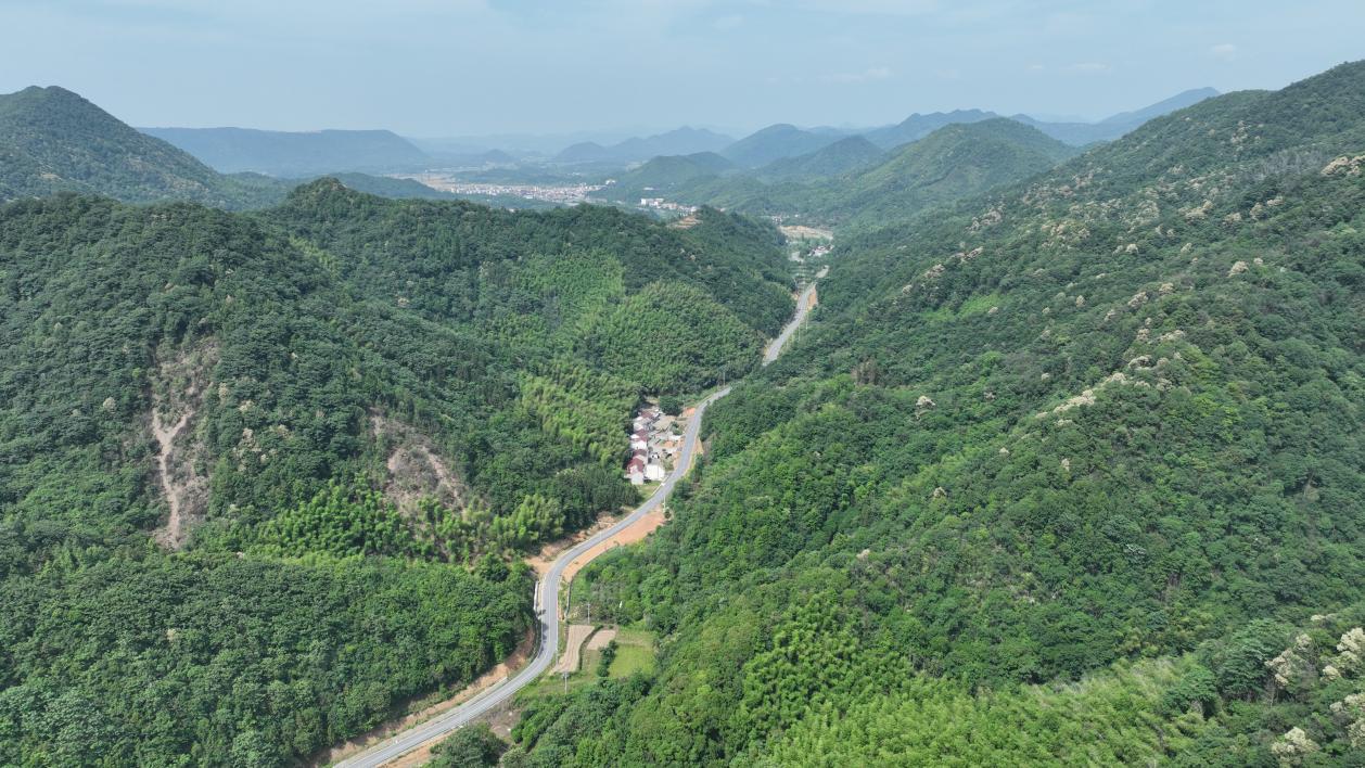 DJI_0025