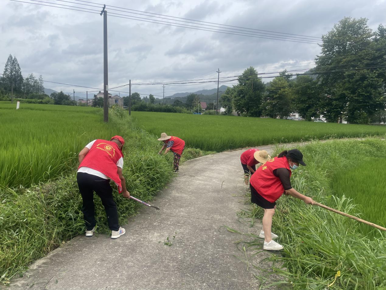 7月28日分流村新时代文明实践志愿者开展人居环境整治活动
