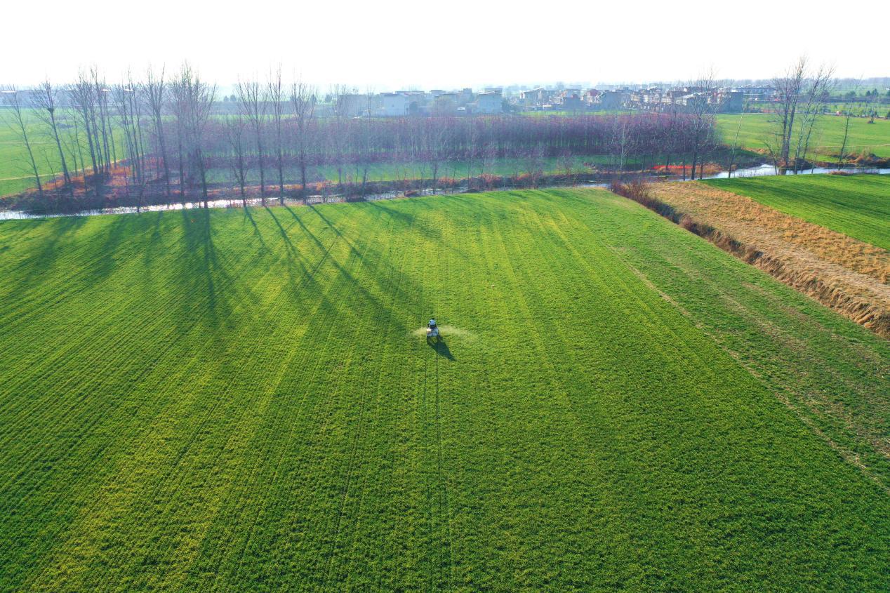 DJI_0398