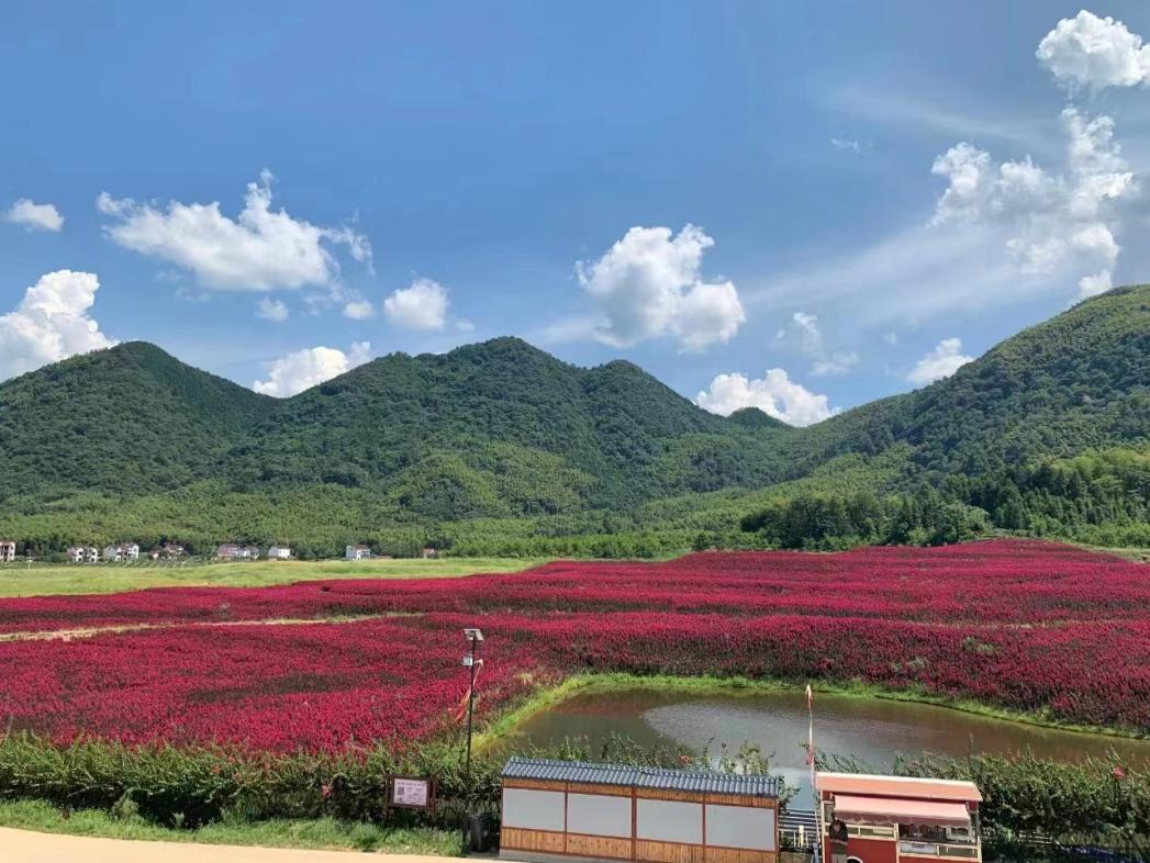 罗城文旅田园综合体 姜志高 摄