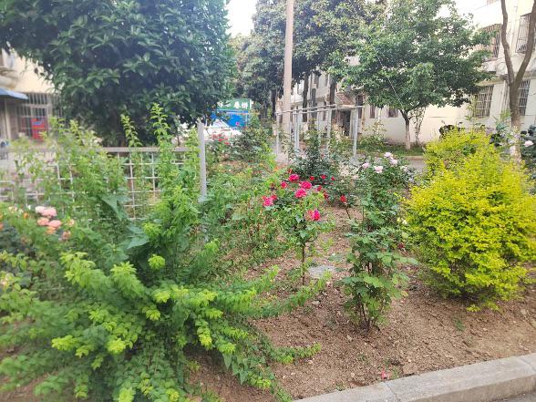 13C326ED015639A662E9F2AD9ECAEE62