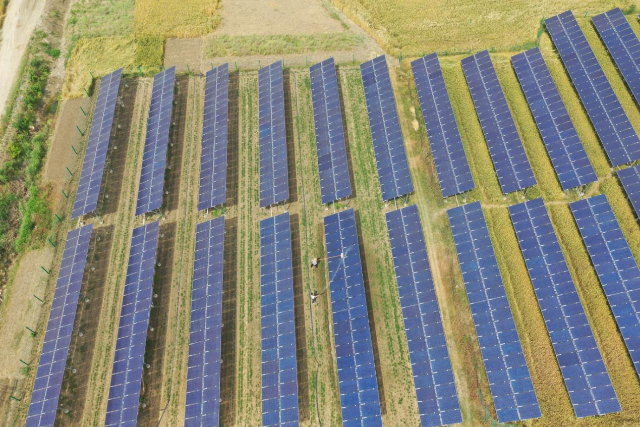 DJI_0218.JPG