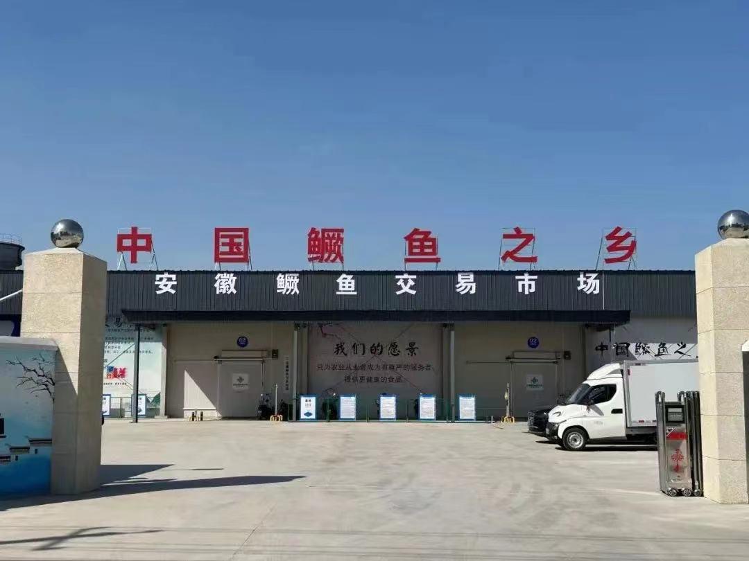 c15b0a6ff9b5ed64c6430d6040dc886