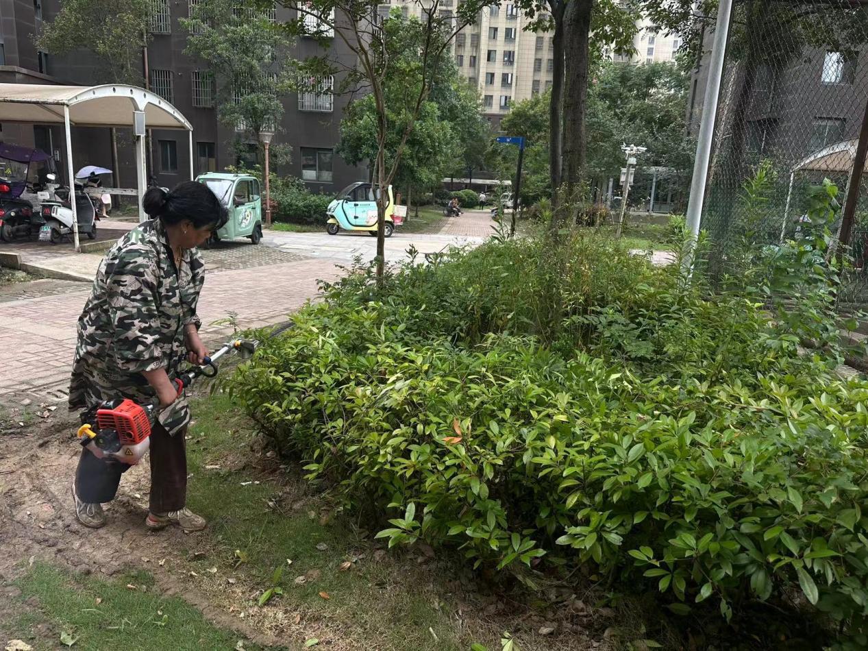 微信图片_20240712095320