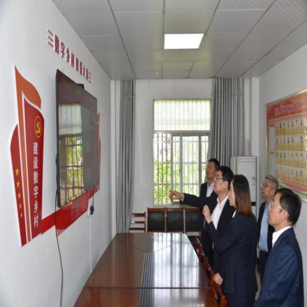 2023年4月27日，中国联通总经理、党组副书记陈忠岳至金寨县花石村调研1