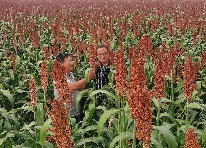 d1e97d80c2cb8ae8ae74838a78fb3c8