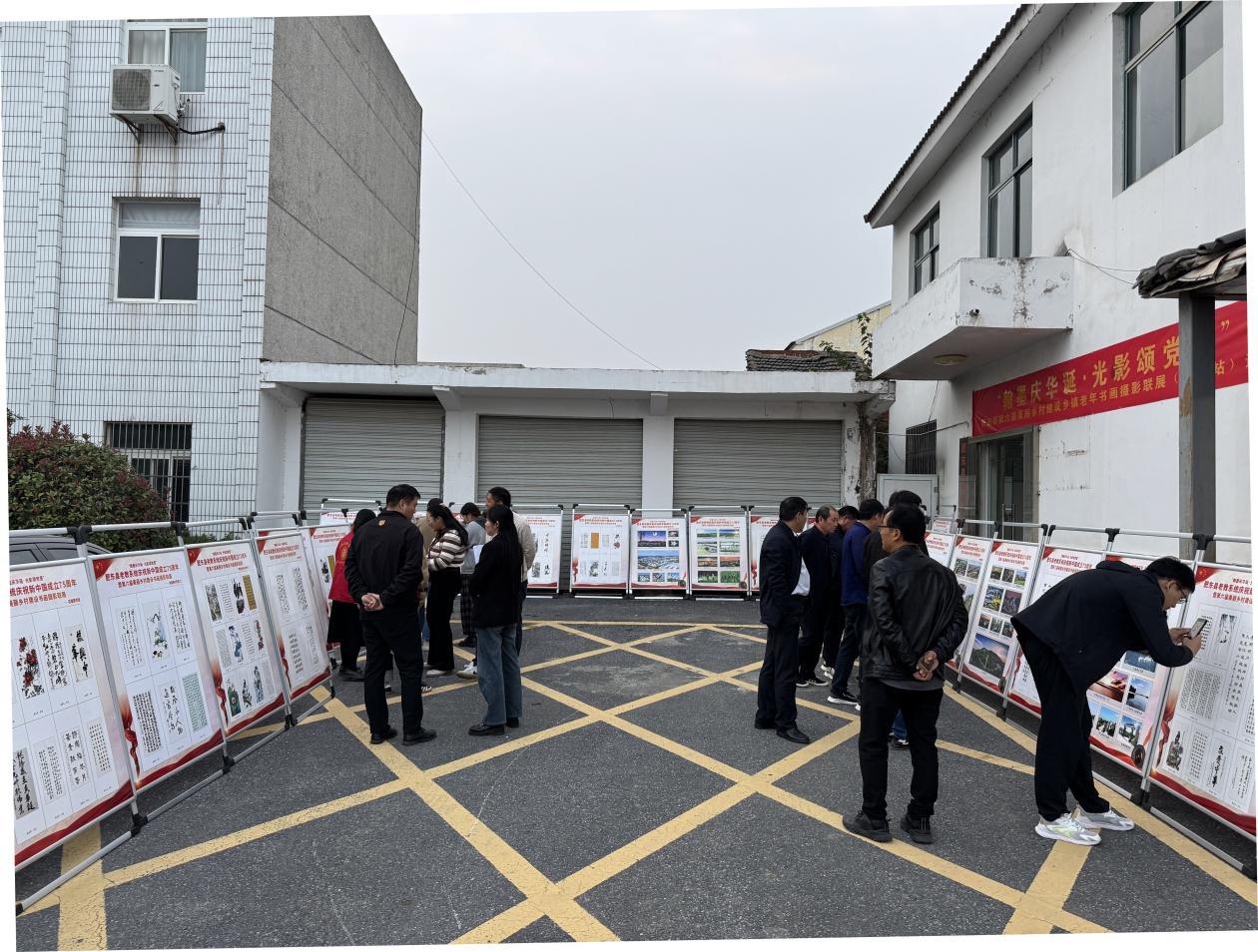 肥东县第六届美丽乡村建设乡镇老年书画摄影（马湖站） (20)