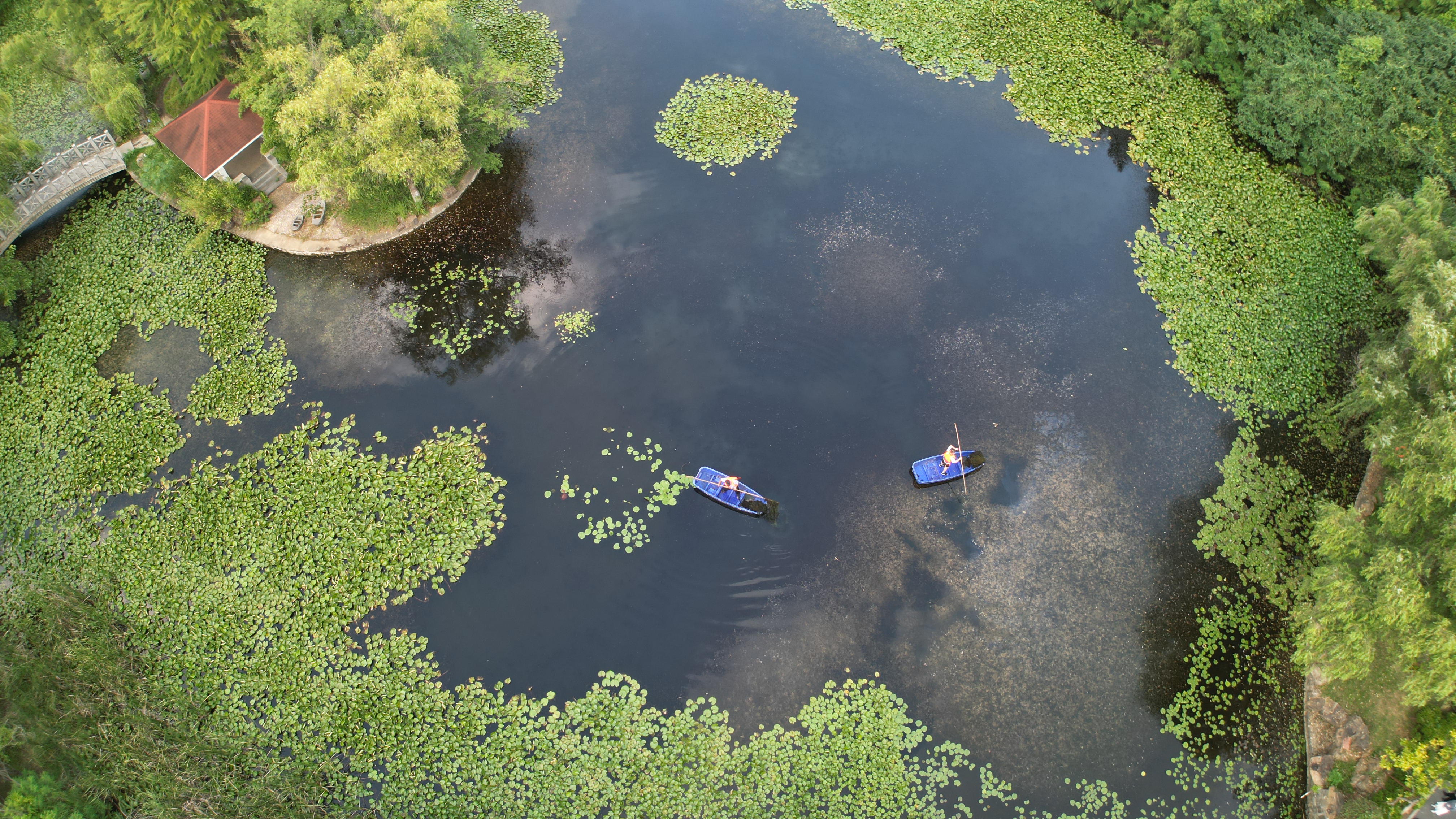 DJI_0229.JPG