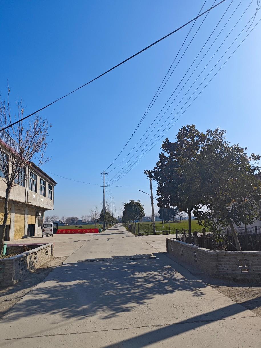 打造小小清洁村  美好乡村大建设 (4)