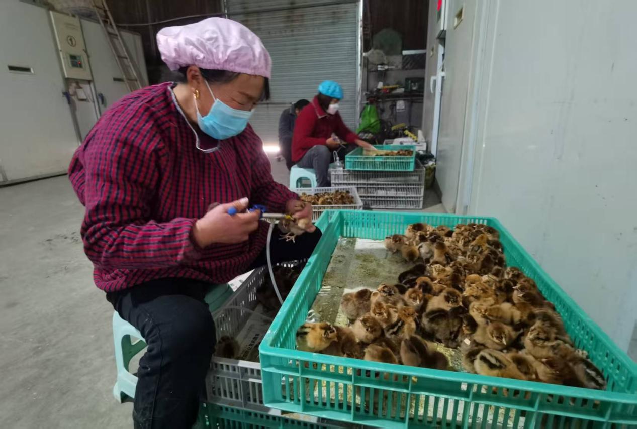 微信图片_20250114150312