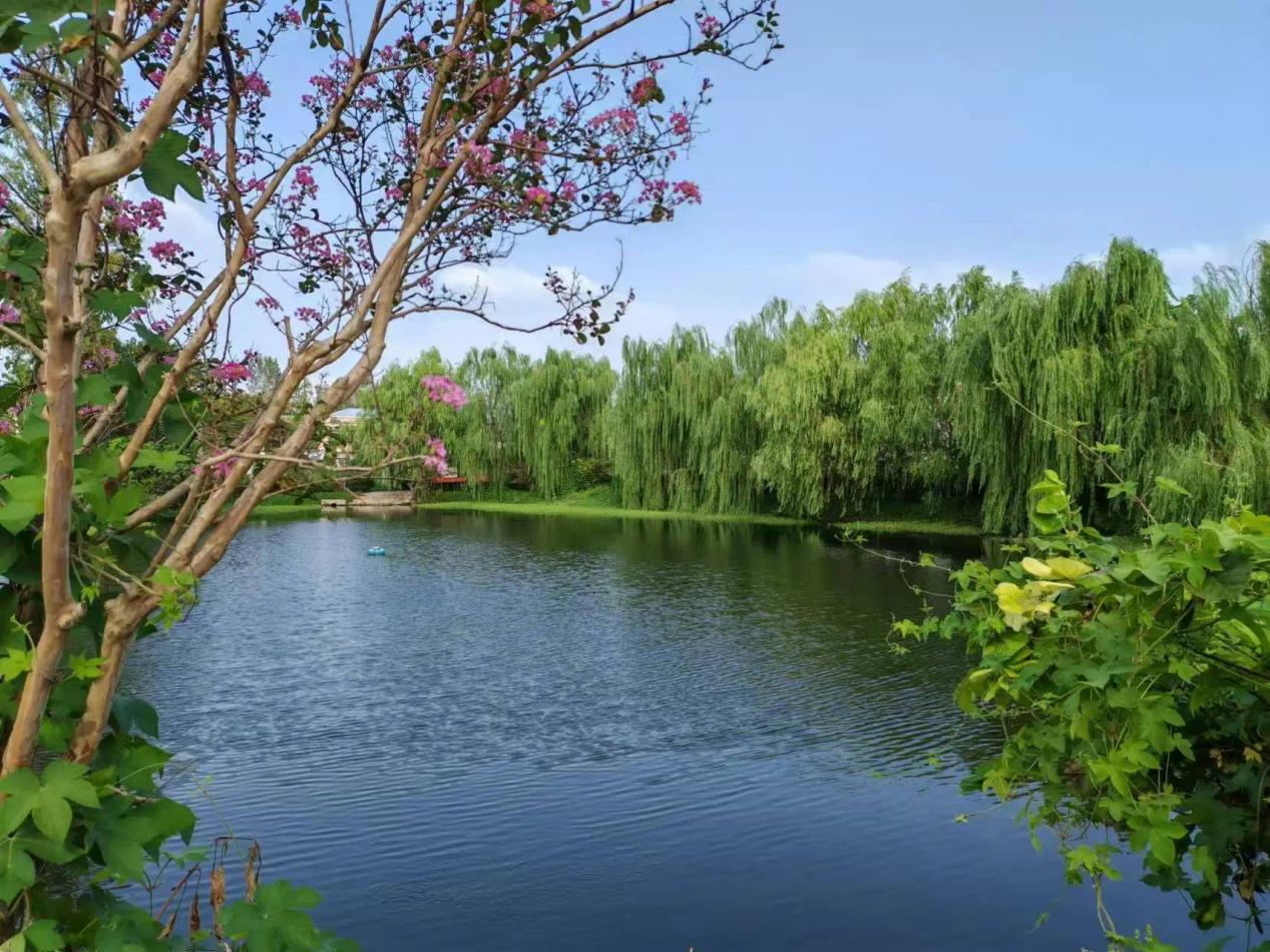 53f85751d22d6732bb8e109f5f16bf2