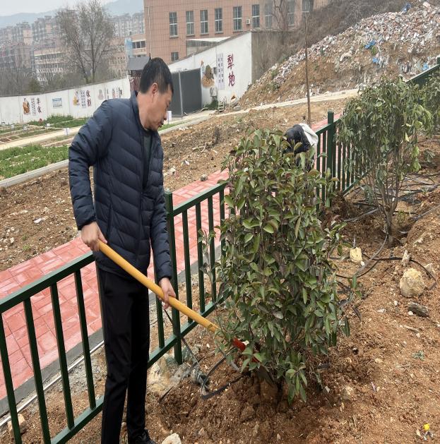 微信图片_202503111706561