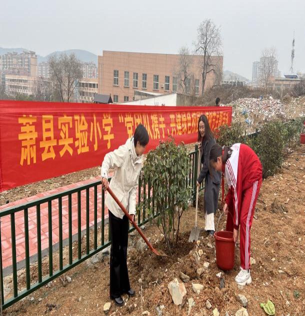 微信图片_20250311170651
