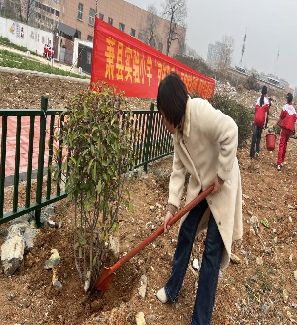 微信图片_20250311170648