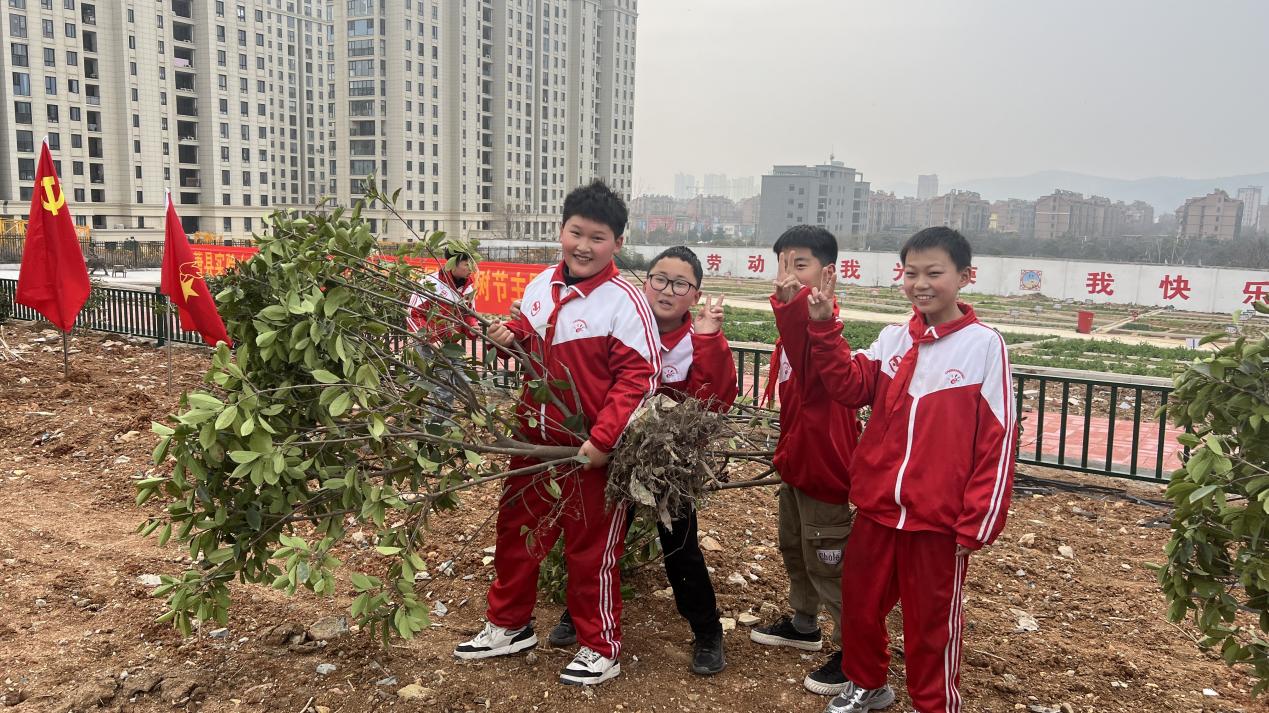 微信图片_202503111706391