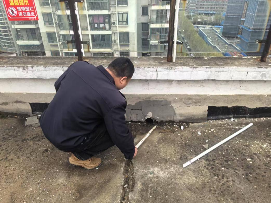 微信图片_20250403084650