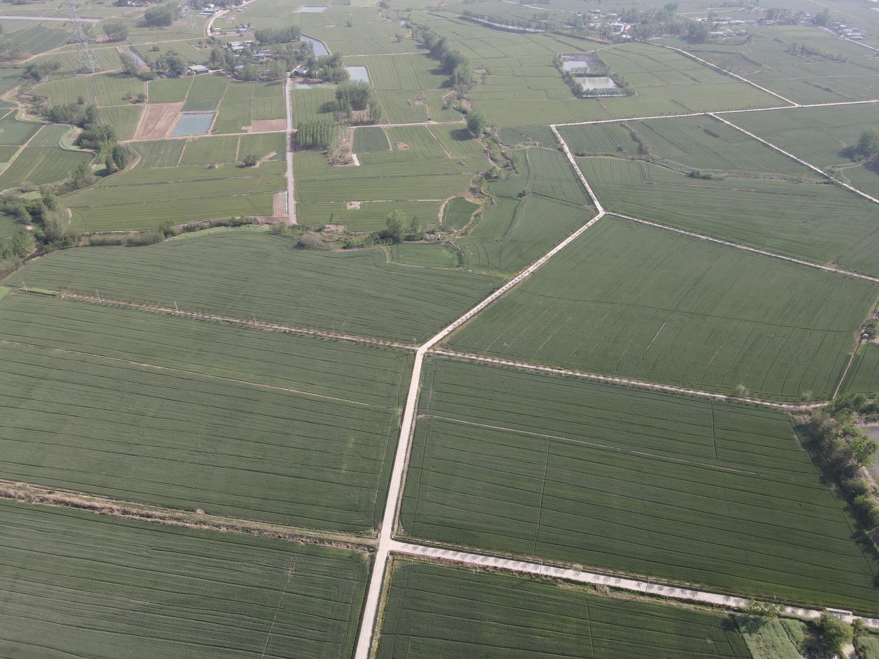 DJI_0165