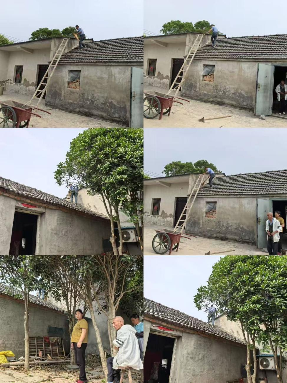 图片1