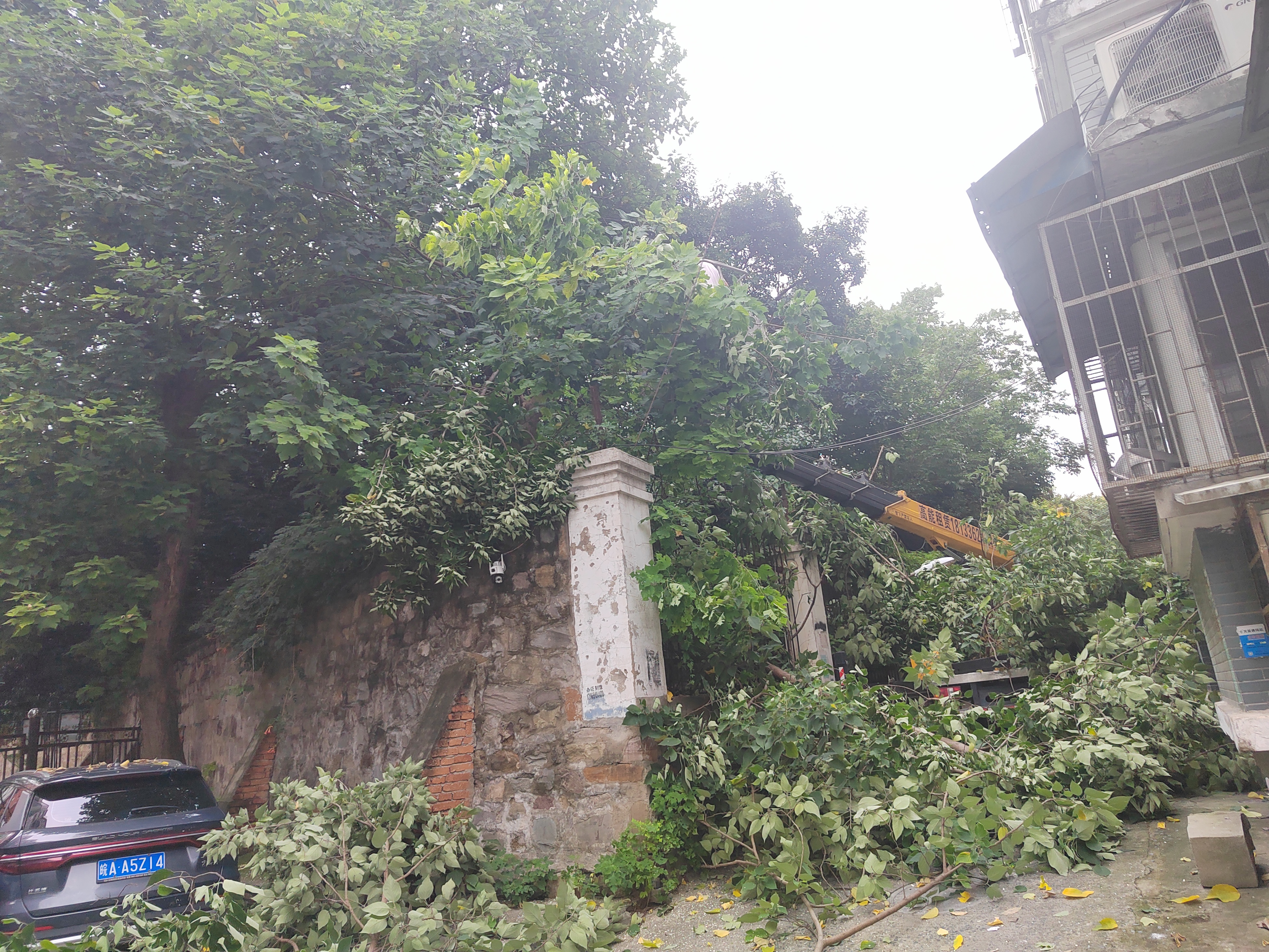 fe2945f528d3c3c5777467a05e08af1