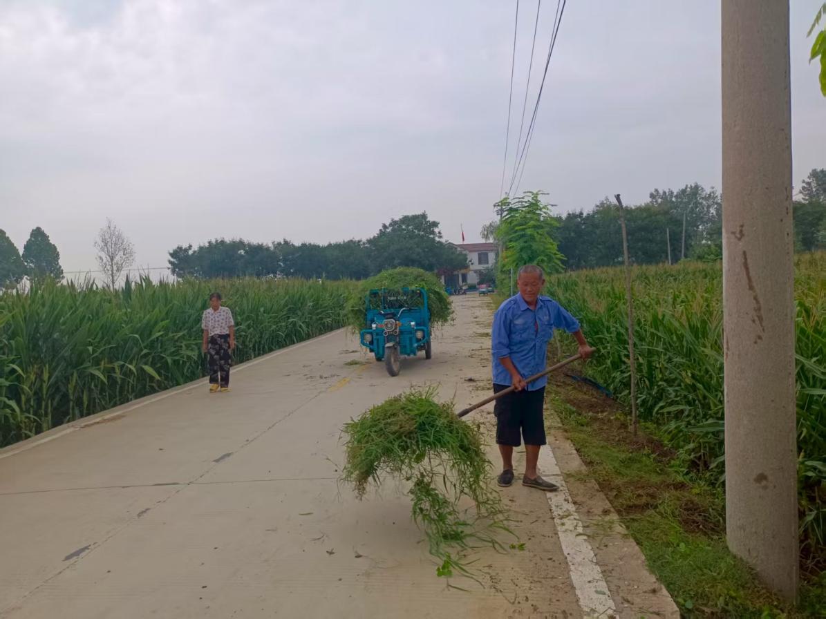 8ebef25268c2dccfe488c954a5d146b5