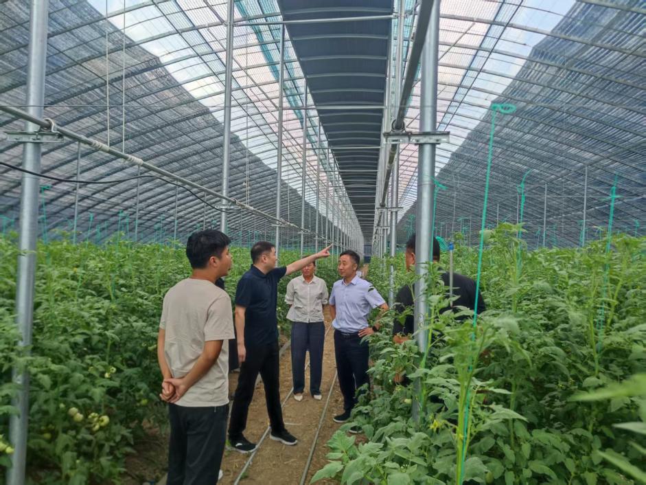 e9bccbe6e6ef31919cc5c4f855fd87a