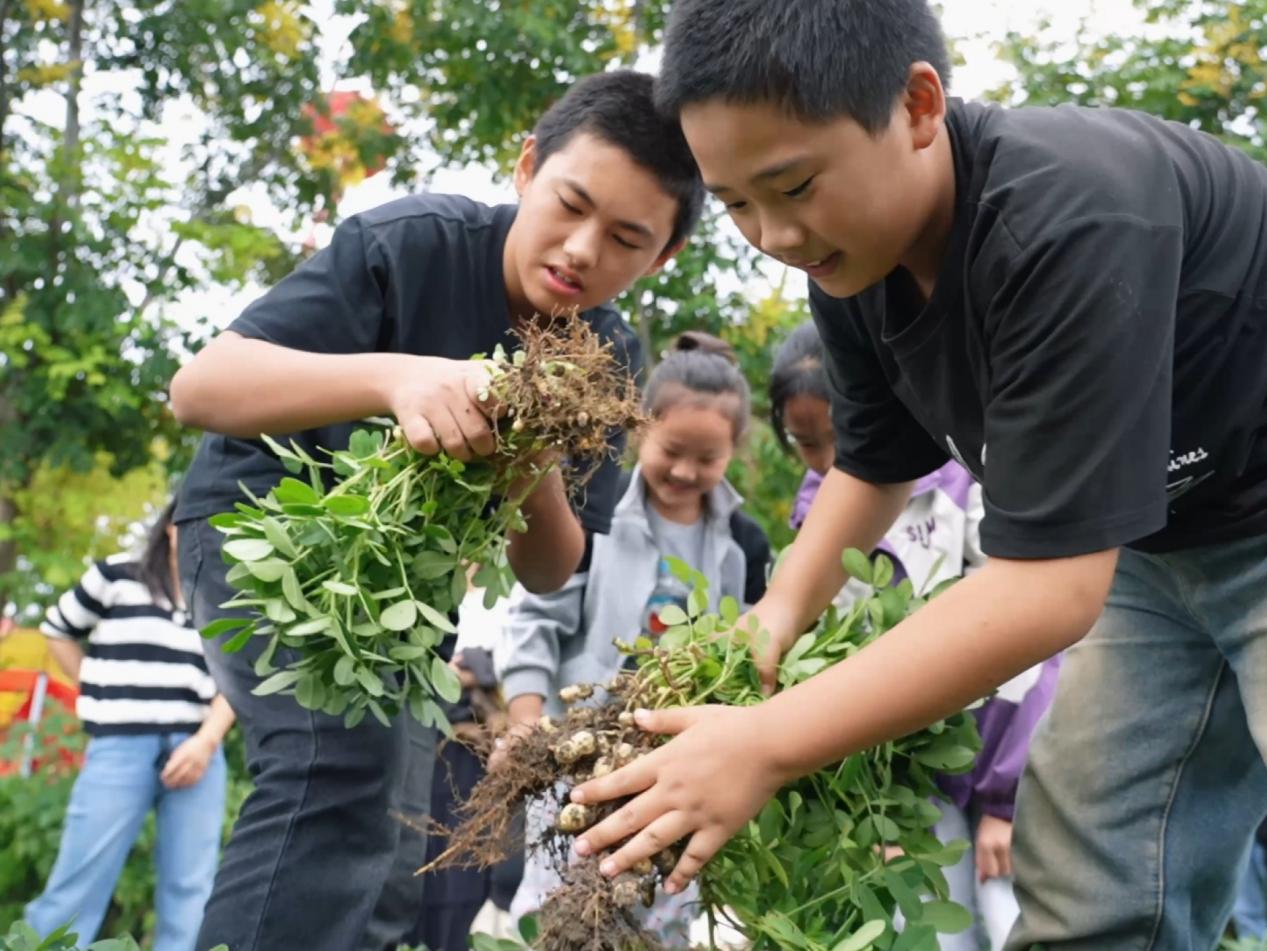 c10bdb4252ef371b012e38570cd40e3