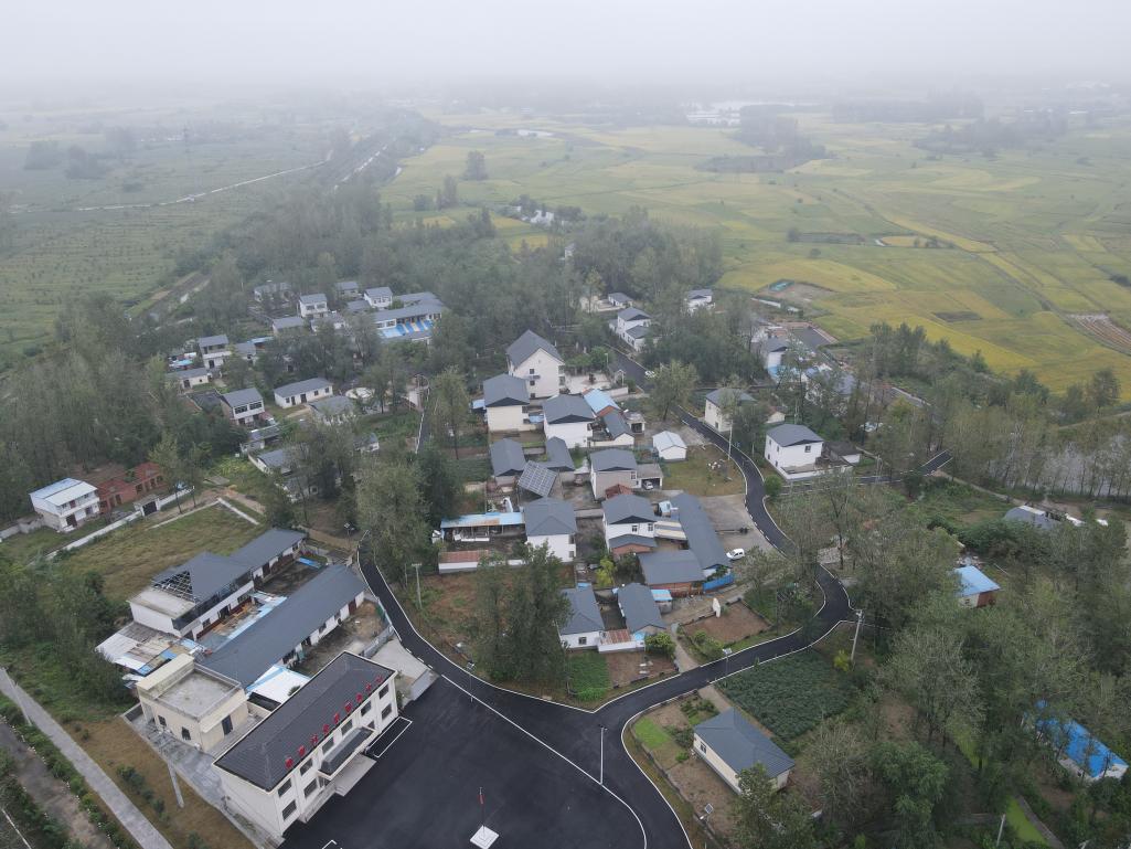 9299b4bdd6b362658f078b4efed1a893