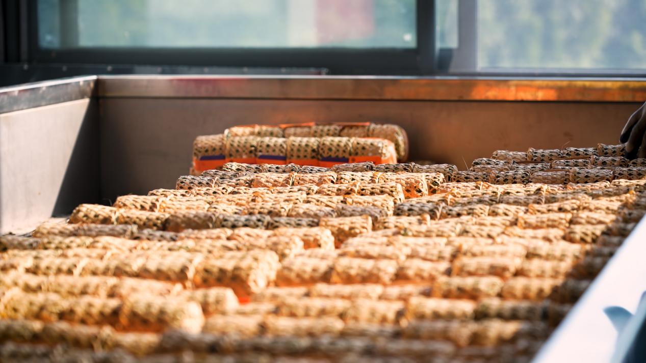 微信图片_2025-10-11_113941_821