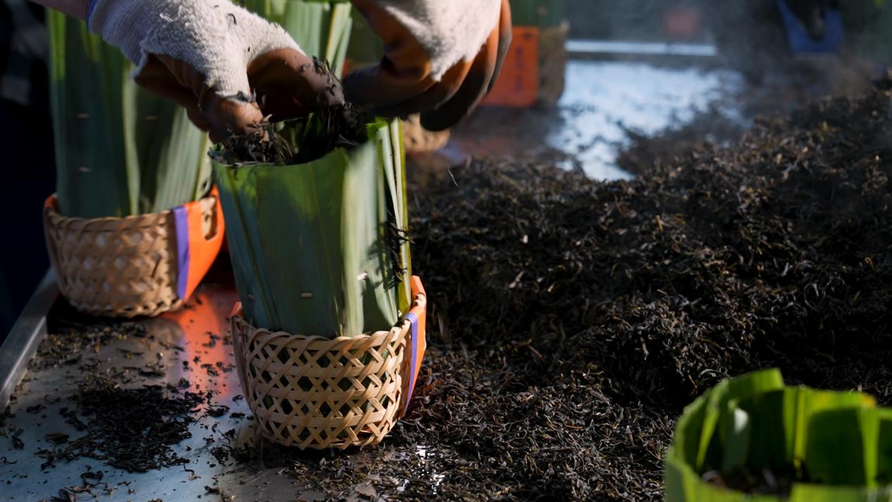 微信图片_2025-10-11_113904_061