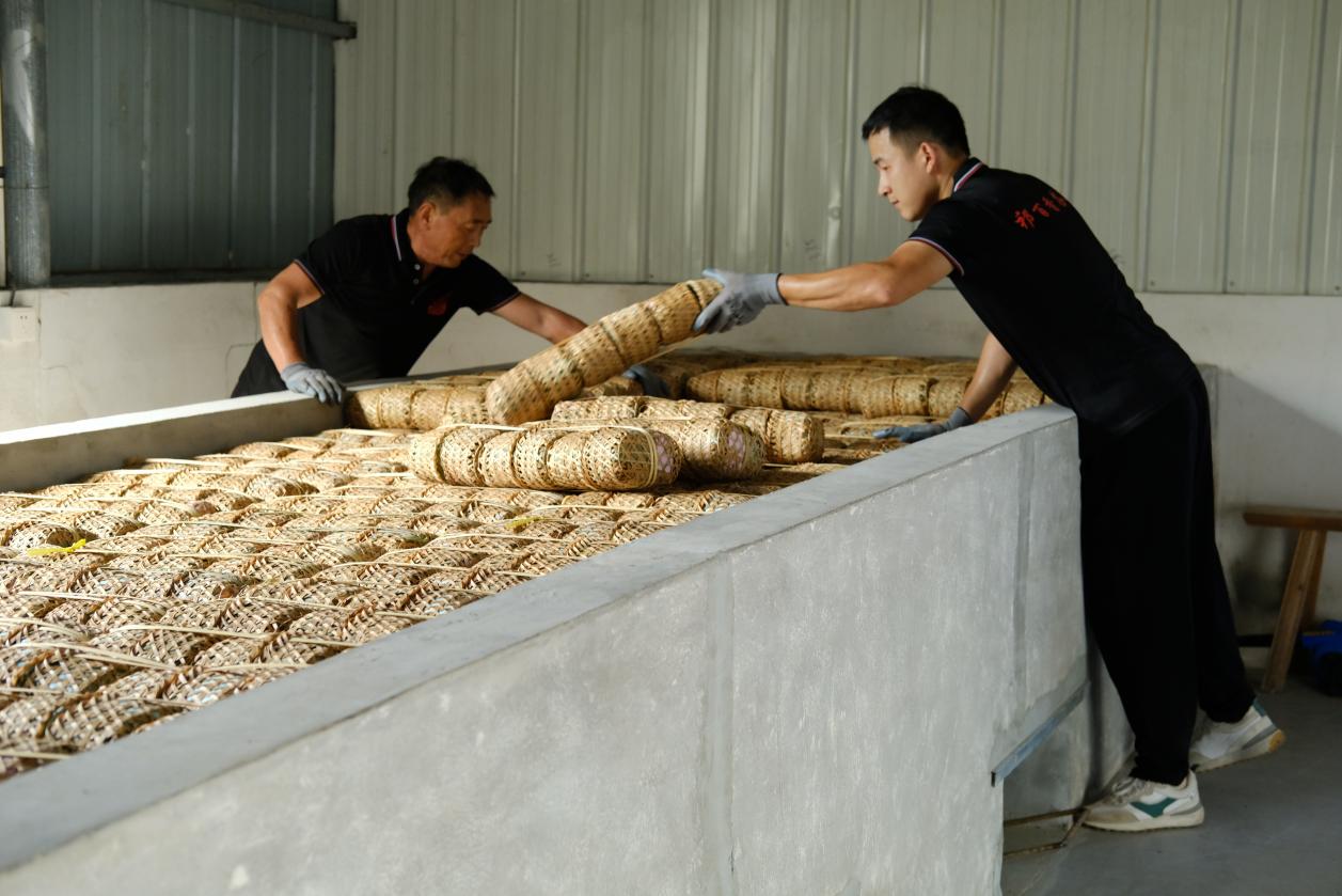 微信图片_2025-10-11_114019_444