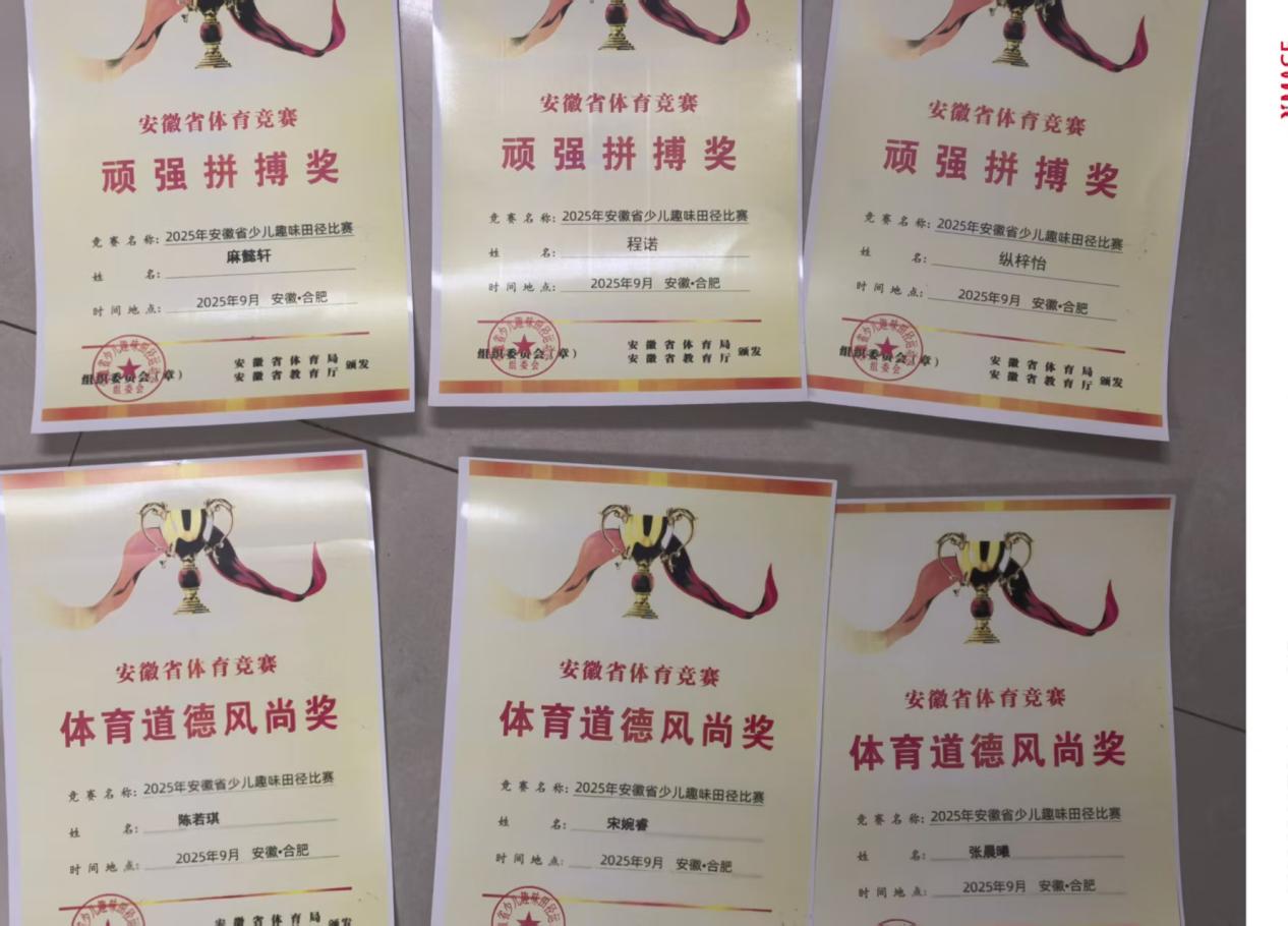 e7cf6ae2b84ac4ecc9f48bb82b56d58a