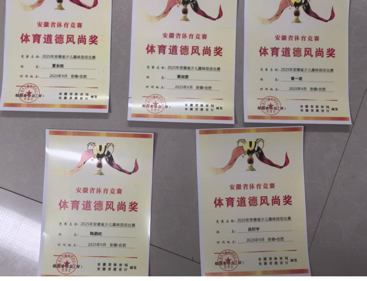 56b0108c09b3eb876056ca5106f28624