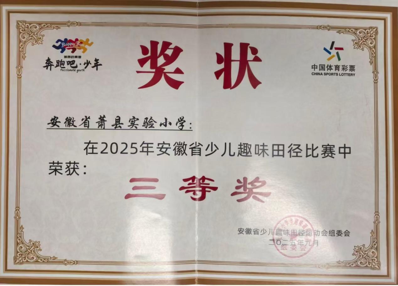 6cfc60ee6c04892b90fe8d579df5c2b8