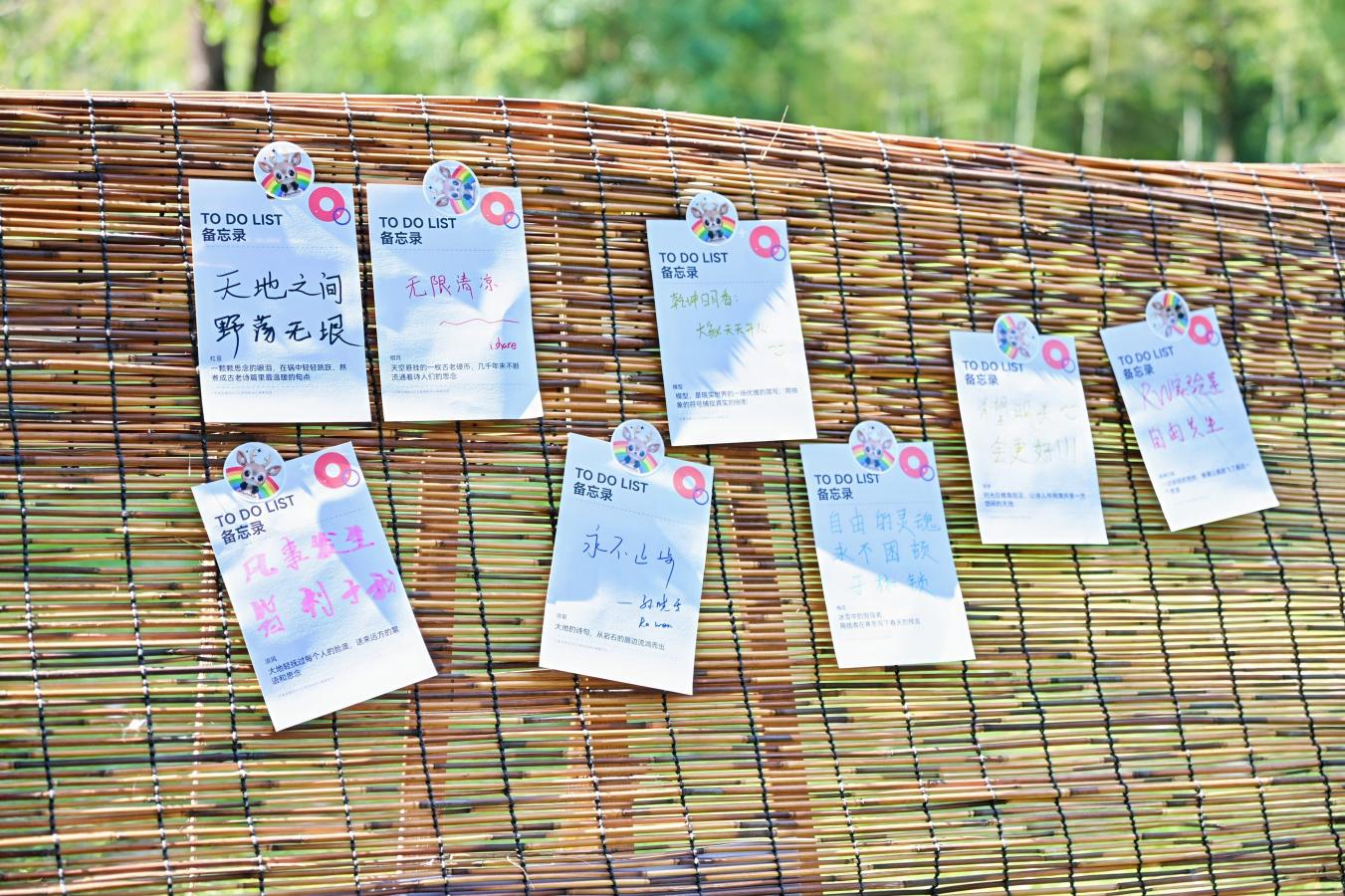 DSC_0808-opq4035814072