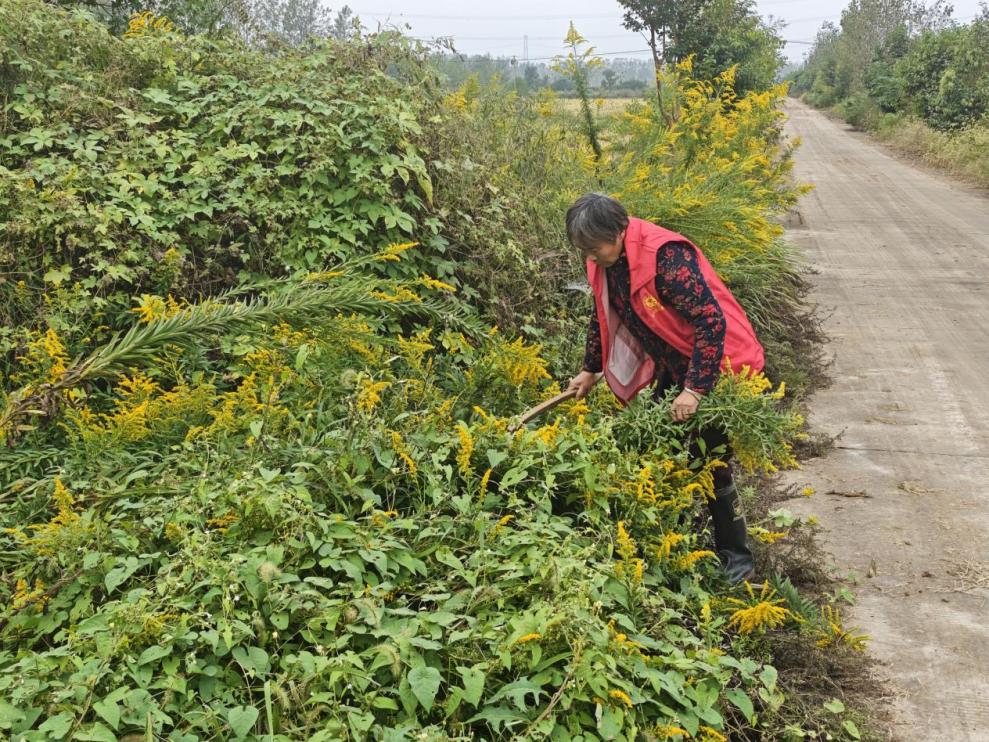 微信图片_20251014151325_82_91