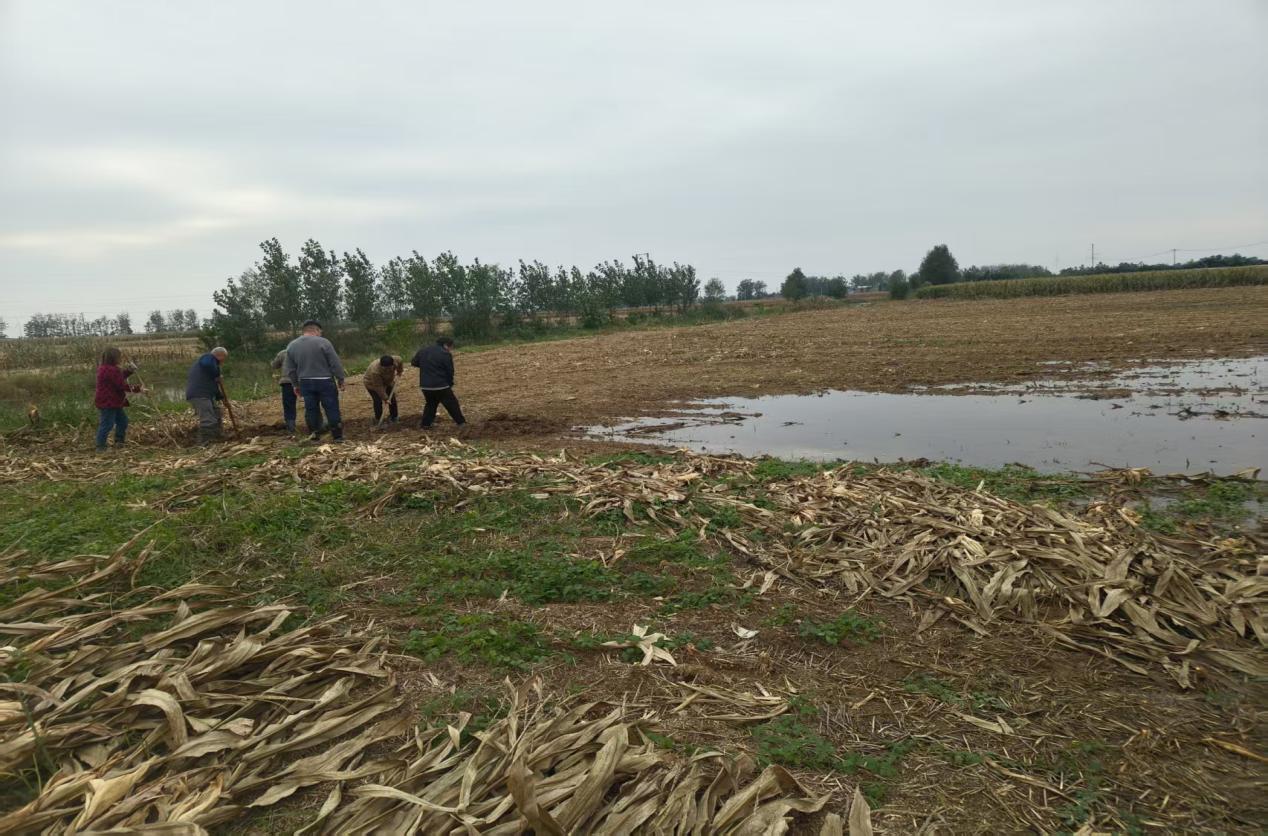 3818b49ba27877a1cd474ea805f154e9