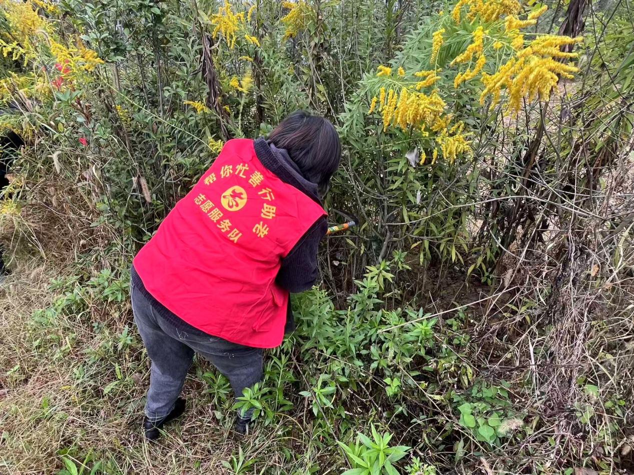 bd46ca83550d1cced34c31350a53bed7